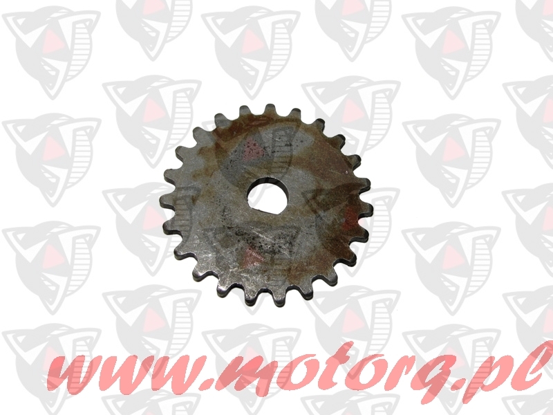 Koło zębate pompy oleju do skuterów 4-suwowych silnik GY6 Torq 412537 1