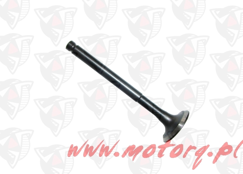Zawór ssący do głowicy silnika 4T Torq 42225 1