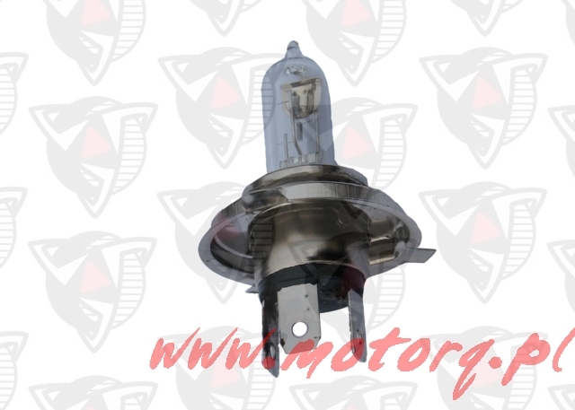 Żarówka reflektora 12V 18/18W H4- halogenowa 1