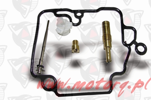Komplet naprawczy gaźnika 4T Torq 40053 1