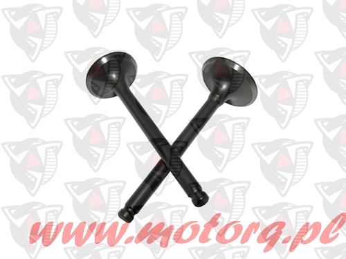 Zawór ssący i wydechowy do skuterów 4-suwowych Torq 412554 1