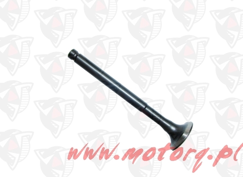 Zawór wydechowy głowicy do skutera 4-suwowych Torq 42226 1