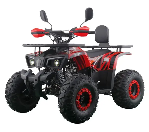 TORQ Viper 125 – Quad Terenowy 1+1 z Automatyczną Skrzynią Biegów 1